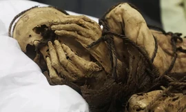 Tìm thấy xác ướp bị trói tay trong mộ cổ hơn 1.000 năm tuổi ở Peru