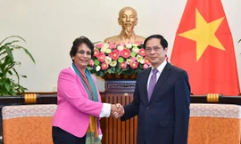 UNDP sẵn sàng hỗ trợ và đồng hành với Việt Nam trong phục hồi và phát triển kinh tế - xã hội 