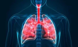 Phát hiện tế bào mới giúp duy trì hệ hô hấp khỏe mạnh 