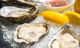 Hai người tử vong sau khi ăn hàu sống và mẹo an toàn khi ăn hàu