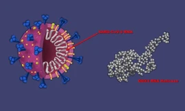 Tin vui: Thuốc chống ung thư cũng có thể hoạt động như liệu pháp kháng virus COVID-19 