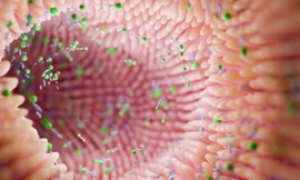 Mỹ phê duyệt phương pháp điều trị đầu tiên được làm từ... phân người 