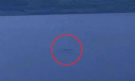 Một người chụp được quái vật hồ Lock Ness rất rõ?