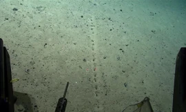 Những lỗ thủng kỳ lạ được phát hiện dưới đáy đại dương 