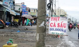 Ba ba, cá sấu 'đặc sản' bán ở... vỉa hè