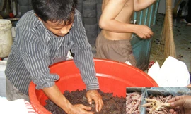 Công nghệ của kẻ vô lương