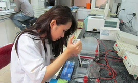 Nữ sinh Việt 19 tuổi có dự án nghiên cứu riêng tại Mỹ
