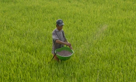 Vật tư nông nghiệp như ma trận