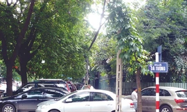 Mạnh tay truy thu thuế bãi xe vi phạm