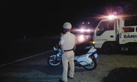 Gà lậu được hợp thức hóa?