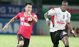 Nghệ An, Đà Nẵng chôn chân