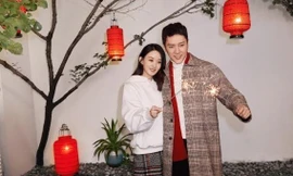 Triệu Lệ Dĩnh và Phùng Thiệu Phong ly hôn, việc phân chia tài sản tỷ đô khá là bất ngờ