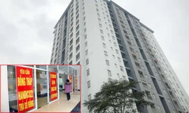 Yêu cầu Hà Nội xử lý sai phạm chủ khu chung cư bị điều tra lừa dối khách hàng