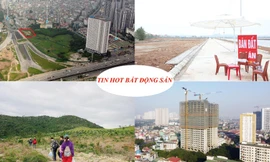 Hàng chục sàn môi giới BĐS hoạt động 'chui', nâng tầng trên đất 'vàng'