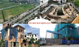 Nở rộ dự án bán 'lúa non', sau sốt nóng giá đất vẫn cao chót vót