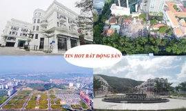 Giao 'đất vàng' giá bèo làm khu đô thị, rộ biệt thự phá vỡ quy hoạch