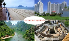 Doanh nghiệp lấn vịnh làm bãi tắm, TTCP vào cuộc vụ nhà riêng lẻ 4 tầng hầm