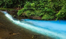 Sông có 2 dòng chảy xanh ngọc và trong vắt ở Costa Rica
