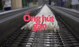 Ống hút bột gạo làm thế nào?