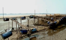 Sông Đà cạn trơ đáy