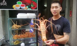 Chán việc sân bay, chàng trai mở quán tôm hùm vỉa hè