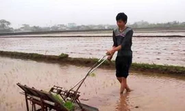 Máy cấy lúa chạy bằng điện