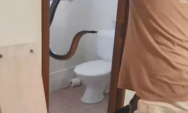 Chủ nhà đối đầu rắn độc trong phòng vệ sinh