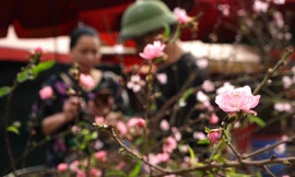 Đào Nhật Tân xuống phố