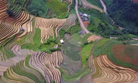 Cảnh sắc tuyệt đẹp của núi non Yên Bái dưới góc nhìn du khách ngoại quốc