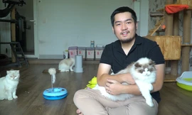 Chàng trai sở hữu đàn mèo hơn 1 tỷ đồng