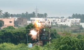 Đàn voi hút chết sau khi làm nổ máy biến áp