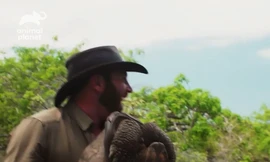 Chuyên gia vỡ òa khi tìm thấy rùa tuyệt chủng 112 năm