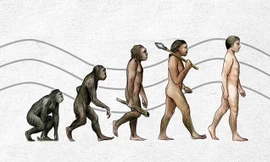 Nhìn lại những bước tiến hóa 'lỗi' của con người