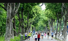 Chất lượng không khí tại Hà Nội tuần qua diễn biến ra sao?