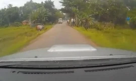 Tài xế chạy tốc độ cao vào cua gấp, ô tô lộn nhào lao xuống ruộng