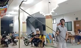 Rắn hổ mang chúa trốn trên giường ngủ