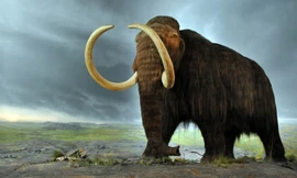 Quá trình diệt vong của voi ma mút