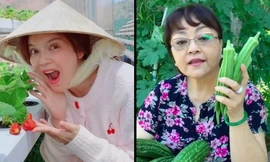 Vườn rau quả của các sao Việt