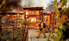 Cành cây gây đám cháy đe dọa hơn 3.000 ngôi nhà