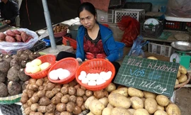 Chợ đầu tiên không dùng túi nilon nhựa