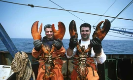 Nơi khách bắt và chế biến tôm hùm ngay trên biển