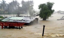 Nhìn lại 2019: Năm của thiên tai cực đoan, dị thường