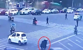 Bò Tây Tạng xổng chuồng náo loạn trung tâm thành phố