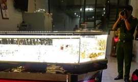 Cảnh kẻ trộm dùng búa đập tủ kính lấy vàng khi chủ tiệm đang xem bóng đá