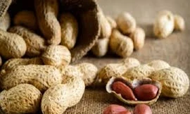 Thủ phạm gây hại cho gan từ 300.000 loại nấm mốc