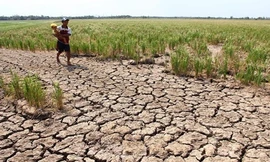 Biến đổi khí hậu khiến người dân hạ lưu sông Mekong khốn khổ