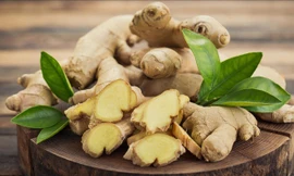 Ai không nên ăn gừng?