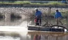 Nhà máy nước sạch xả bùn thải ra hồ điều hòa