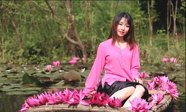 Hoa súng nở rộ trên dòng suối Yến chùa Hương