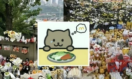 Một năm sau vụ game thủ Mèo Béo nhảy cầu: Hơn 90 tấn thực phẩm bị lãng phí